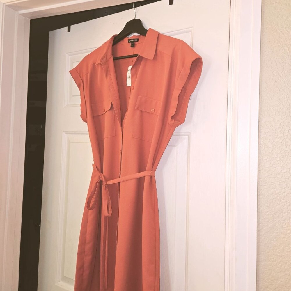 Express Button-Down Shirt Dress
